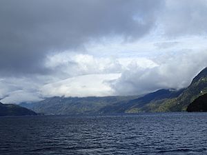 Long Sound Fiordland New Zealand Aotearoa