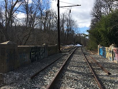 Looking down former Darlington station towards West Chester in 2017.jpg