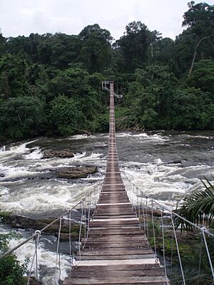 Mana suspension bridge over Mana river