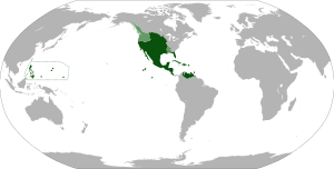 Map of the Viceroyalty of New Spain