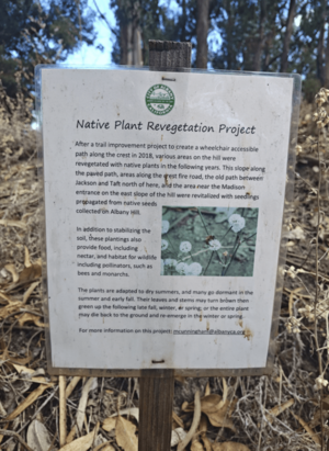 NativePlantRevegetationAlbanyHill-October21,2024
