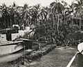 New Zealand troops land on Green Island 1944 (AWM image 304260)