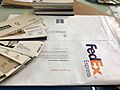 Newone - FedEx Tyvek envelope