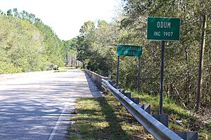 Odum limit, Little Satilla Creek bridge, S Church St, Odum