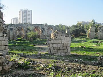 PikiWiki Israel 41123 White Mosque Ramla