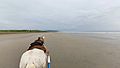 Playa Isla Cañas Panama