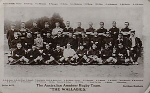 Postcard - Wallabies 1908