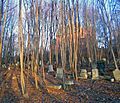 Reformed Church of Beacon, NY, cemetery