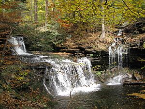 Ricketts Glen State Park R. B. Ricketts Falls 4