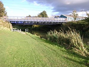 Ridgacre Branch Canal Midland Metro bridge