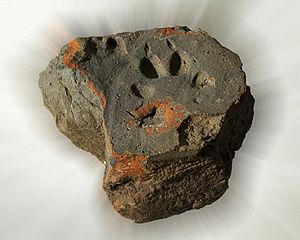 Roman tile with paw print (FindID 769201)