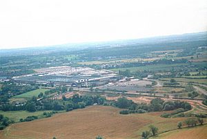 Ryton plant Facts for Kids