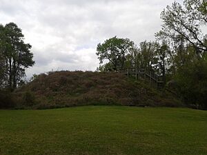 Santee Indian Mound and Fort Watson - 2