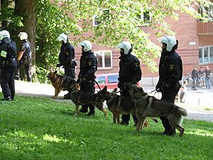 Swedish police dogs