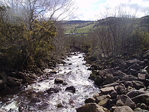 The Afon Haffes near Glyntawe - geograph.org.uk - 769669