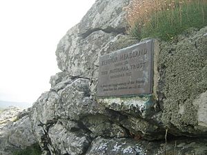The donation plaque - geograph.org.uk - 1459191