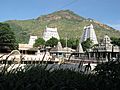 Tiruvannamalai Temple 1