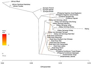 TreeMix analysis of worldwide populations (2022)