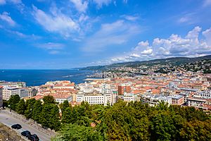 Trieste (28766391880)