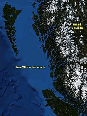 Tuzo Wilson Seamounts.jpg