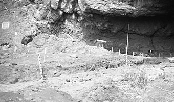 University of Oregon archaeological excavations at Fort Rock Cave, Oregon (USA), 1966.jpg