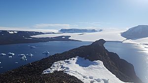 Vega island Antarctica