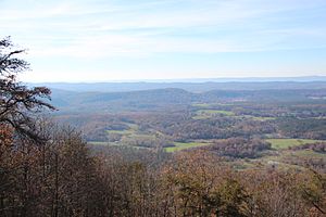 A view of Northwest Georgia from Johns Mountain