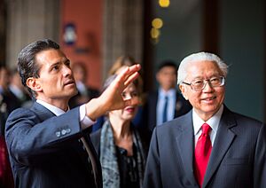 Visita de Estado del Presidente de Singapur 1
