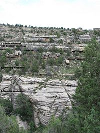Walnut canyon strata