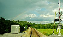 Washington-County-RR-tracks-rainbow-tn1