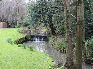 Waterfall on Arrowe Brook at Arrowe Brook Road entrance