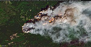 West Kiskatinaw River Wildfire, British Columbia, Canada - 7 June 2023 (52961618238)