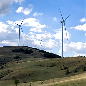 Wind Farm Bajgora Kosova