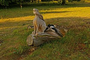 "Good Omen" - geograph.org.uk - 1417628
