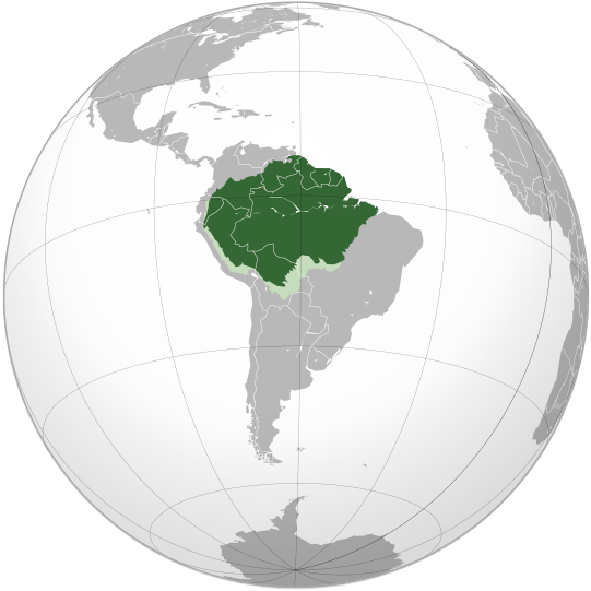 Image Amazon rainforest (orthographic projection)