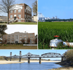 Clockwise from top: a rice field on the Grand Prairie, the Yancopin Bridge over the Arkansas River, the Southern District Courthouse in DeWitt, the Northern District Courthouse in Stuttgart, Arkansas