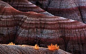 Badlands at Sunset
