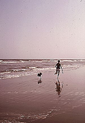 BeachSceneGrandIsle1972