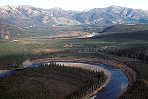 Beaver Creek Yukon Flats 1.jpg