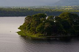 Beezie's Island, Lough Gill