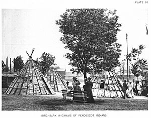 Birchbark Wigwams Of Penobscot Indians — Official Views Of The World's Columbian Exposition — 88