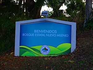 Bosque Estatal Nuevo Milenio 01