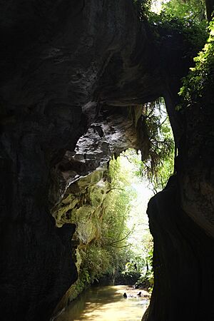 Bottom rock arch of Mangapohue Natural Bridge over Mangapohue Stream