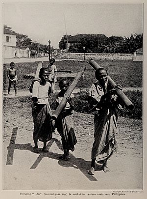 Bringing "tuba" (coconut-palm sap) to market in bamboo containers, Philippines, photo from The Encyclopedia of Food by Artemas Ward