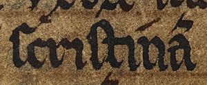 Cairistíona inghean Fearchair (British Library Cotton Julius A VII, folio 42v)