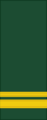 Canadian Army (sleeves) OF-1b