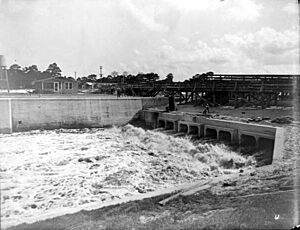 Canal in the Everglades Drainage District 1915