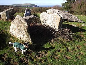 Cerrig y Gof chambered tomb - geograph.org.uk - 202375