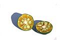 Citrus depressa var kugani