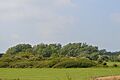Clacton Cliffs and Foreshore - golf club area 5